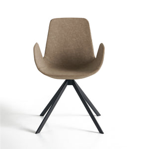 #Gris marron