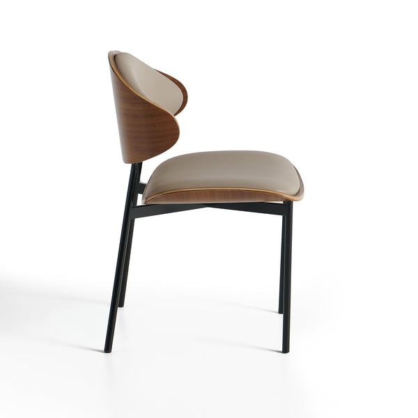 #Gris beige