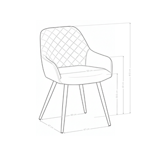Chaise de salle à manger DR2522, velours et pieds en acier