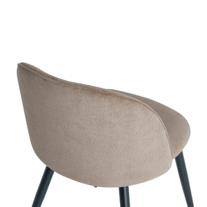 #Gris beige