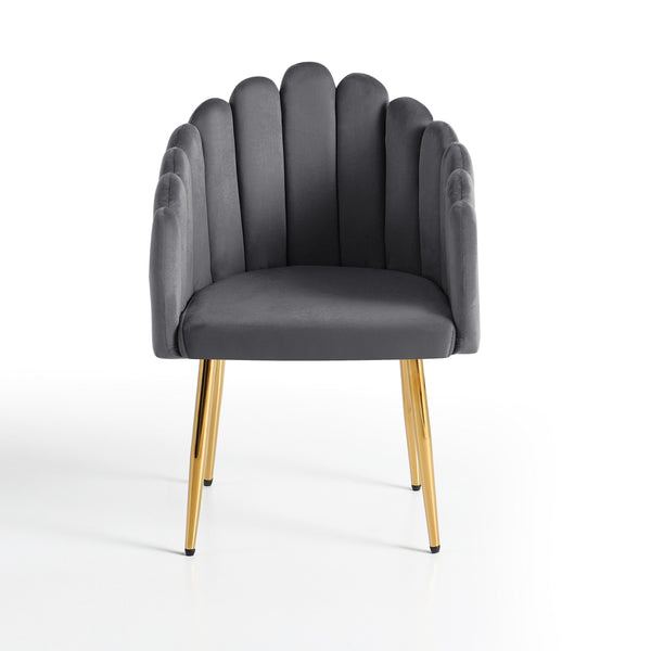 #Gris foncé